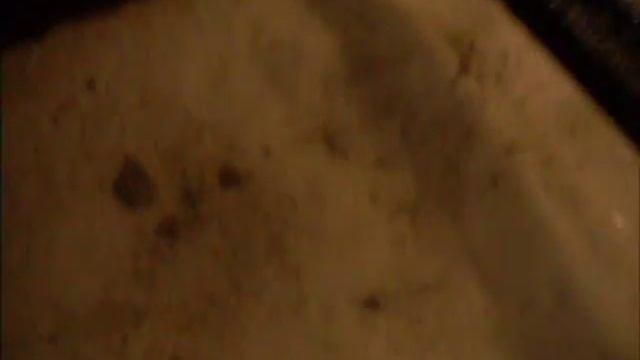 How to Move a 300 Gallon Shark Tank Aquarium смотреть онлайн