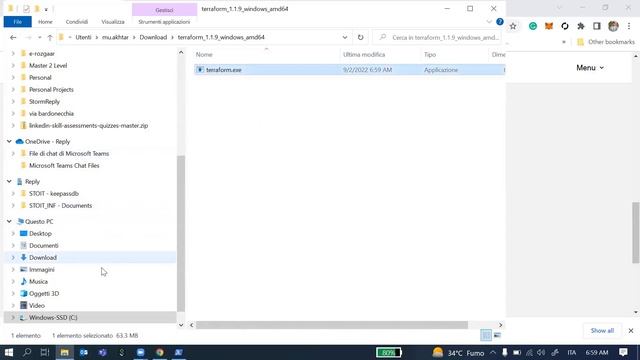 How To Install Terraform On Windows?