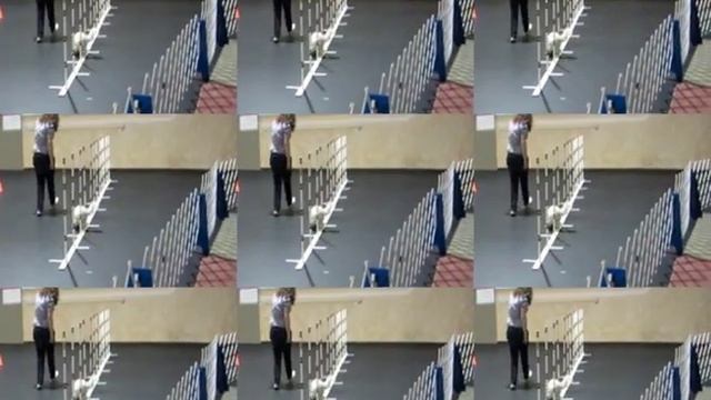 Final Cut Pro Effects Test смотреть онлайн