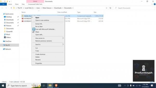 Adobe Acrobat 2023 Pro Tutorial how to install