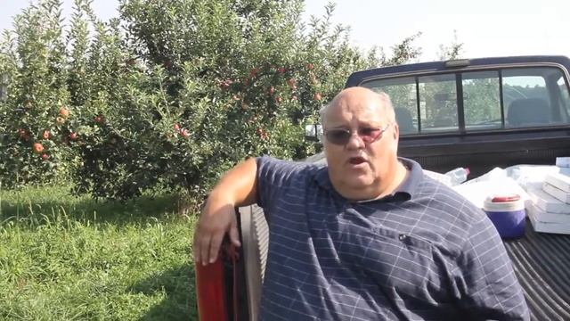 USA apple market смотреть онлайн