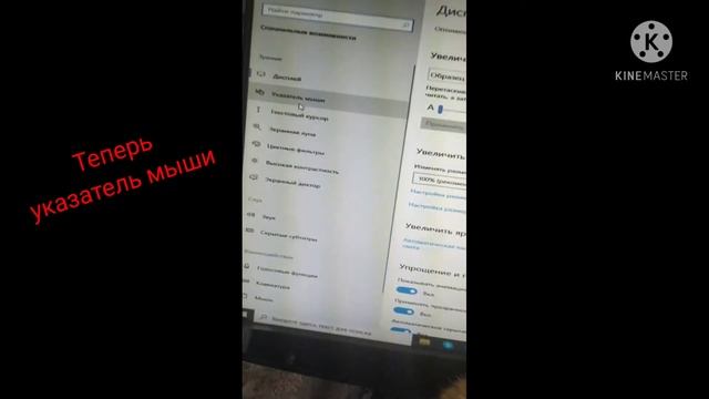 Разноцветная мишь для Windows 10 смотреть онлайн