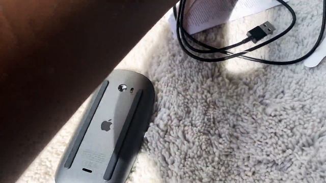 Apple Mouse 2