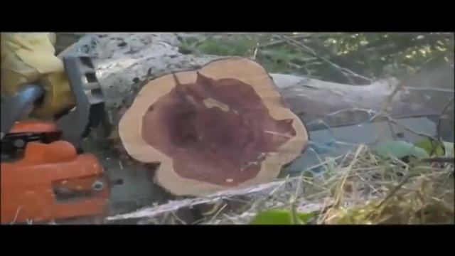 A collaborative art project called Ubuntu смотреть онлайн