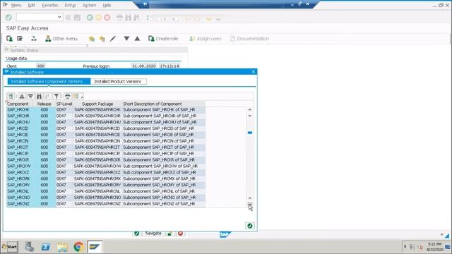 How to connect SAP ECC EHP8 Server смотреть онлайн