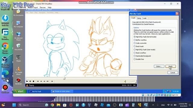 sonic and nine dream on has BSOD vm (windows XP X86) смотреть онлайн