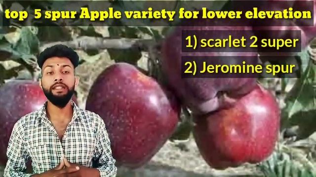 Top 5 apple variety | redvlox apple variety | kingrot apple variety | scarlet spur-2 | Apple farmin смотреть онлайн