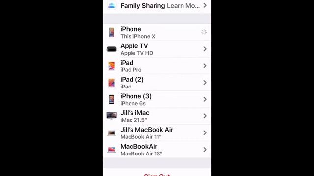 iPhone Basics смотреть онлайн