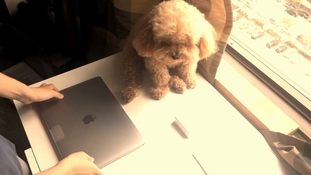 MacBook Pro 2020 Unboxing. Feat. Coco смотреть онлайн