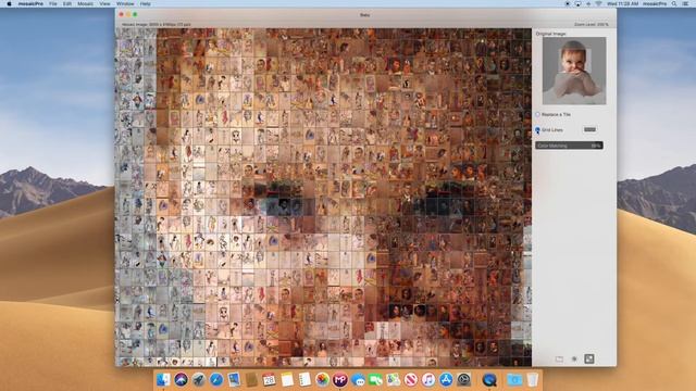 mosaicpro gridlines feature - Photo Mosaic app for MacOS смотреть онлайн