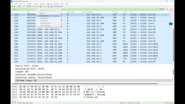Analyze UDP Packets смотреть онлайн