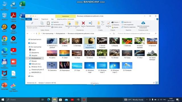 Kampyuterda Rasimlarni Koʻchirish. Noutbokda Fayillarni Kochirish. Kampuyutirni Noʻldan Oʻrganish.