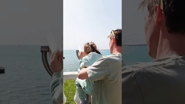 #цигун #автодом #elddis #прицепдача #домнаколесах #автодом смотреть онлайн