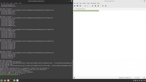 How to install Microsoft Fonts on Linux Mint 21