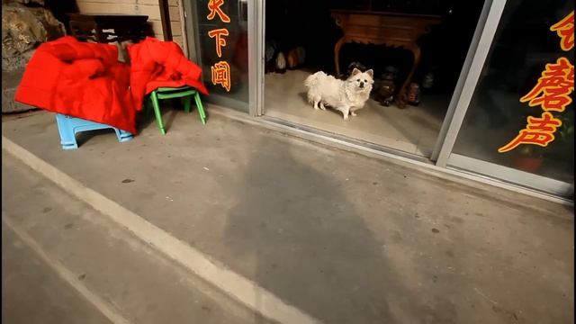 $250 vs $500 Chinese Apartments смотреть онлайн