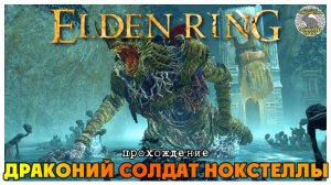Elden Ring прохождение #24 I Река Ансель I Драконий солдат Нокстеллы I Катакомбы малого Древа Эрд