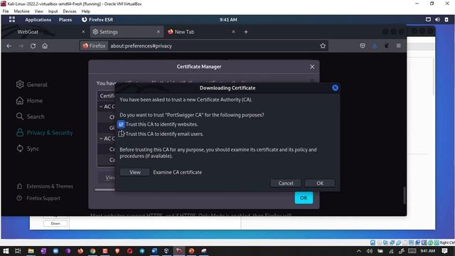 How To Install And Use Burpsuite | WebGoat Lab
