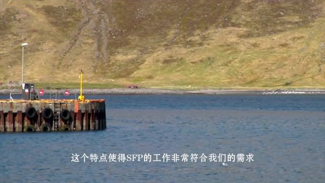SFP Chinese Version смотреть онлайн
