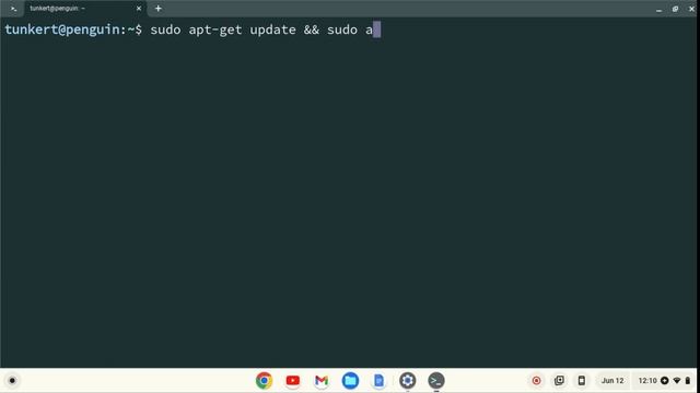 How to Install Gnome Terminal on a Chromebook смотреть онлайн