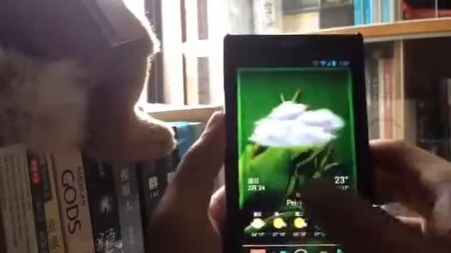 Xperia S with Android 4.2.2 (letama ROM at XDA) смотреть онлайн