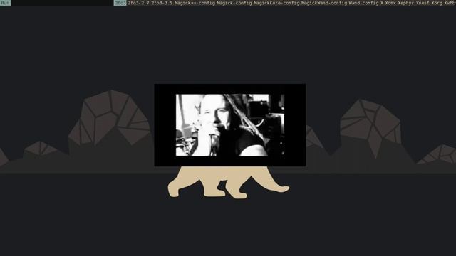wmutils + customized layout algorithm = minimal, crazy flexible window manager смотреть онлайн