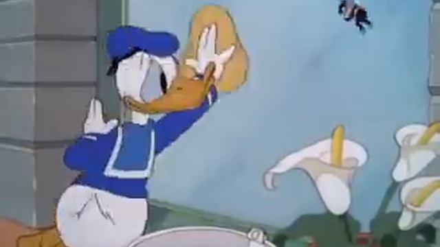Donald Duck Window Cleaners смотреть онлайн