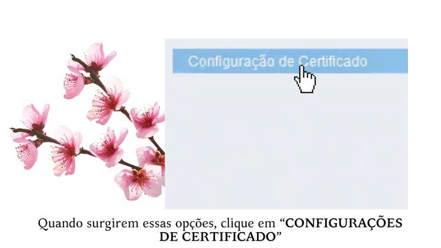 RESOLVENDO O ERRO DO TOKEN NO PJE | PJE NÃO RECONHECE O TOKEN | CERTIFICADO DIGITAL | ADVOCACIA смотреть онлайн