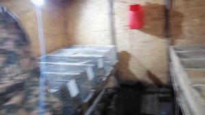 НОВАЯ КЛЕТКА ДЛЯ КРОЛИКОВ 🐰 НОВЫЕ ВОЗМОЖНОСТИ