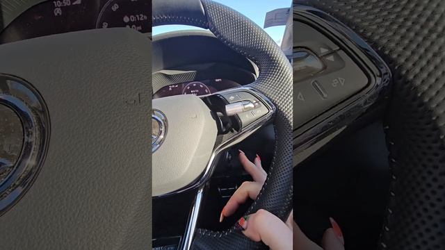 Skoda Karoq Sportline смотреть онлайн