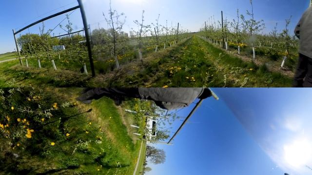 360° Canadian Apple Orchard Tour смотреть онлайн
