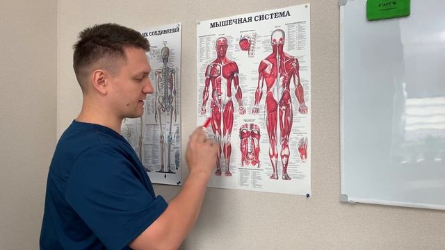 Кочетков Владимир