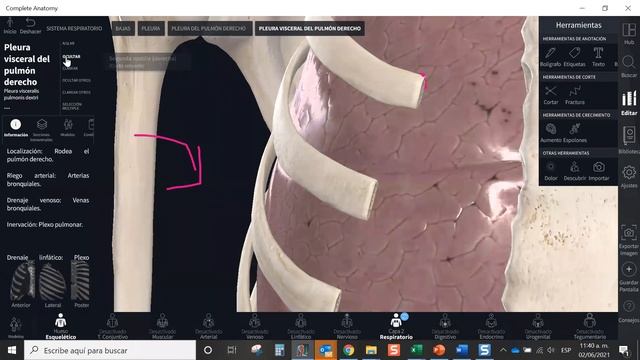 U de Valparaíso, Complete Anatomy Basic смотреть онлайн
