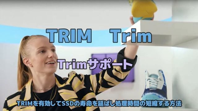 Windows11●10●TRIMを有効してSSDの寿命を延ばし処理時間の短縮する初心者のみなさんでもできる方法 смотреть онлайн