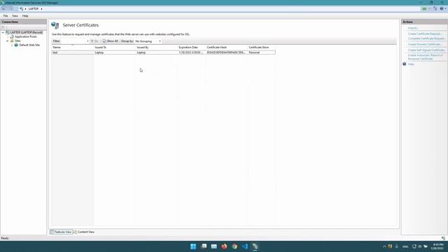 Add HTTPS (SSL) in IIS смотреть онлайн