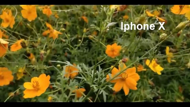 Apple Iphone X (Ten ) vs DSLR Camera Test and Samples Full HD смотреть онлайн