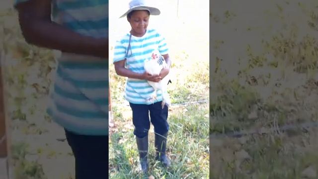 Children learning to interact and take care of farm animals. смотреть онлайн