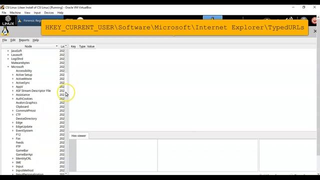 Analyzing the Windows Registry for Evidence Using CSI Linux смотреть онлайн