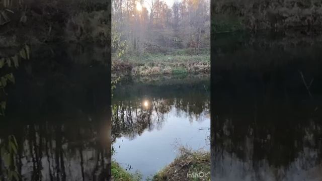 Осень, природа, кайф