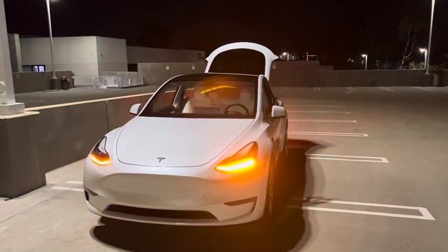 Persian song Bitab by Hamid Hirad & Puzzle Band on Tesla Model Y Lightshow смотреть онлайн