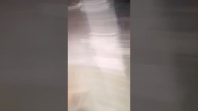 ПРОСТИТЕ!!!Снимала не я а мой ассистент!!!!! смотреть онлайн