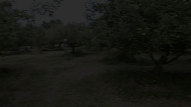 Meet Your Farmer: Blue Heron Orchard смотреть онлайн
