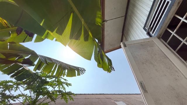 Video Sampel HDR Dolby Vision 4K 60p Apple iPhone 13 смотреть онлайн
