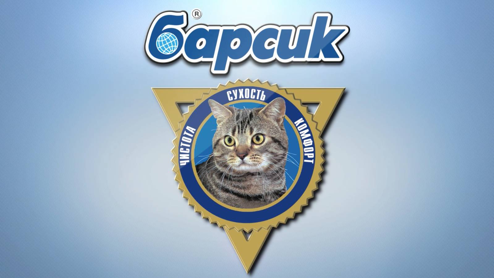 НПО с котом