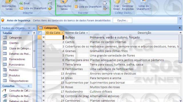 Curso 5821 O que há de novo no Microsoft Office Access 2007 DEMO смотреть онлайн