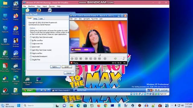 Windows XP BSOD 546 (2023) смотреть онлайн