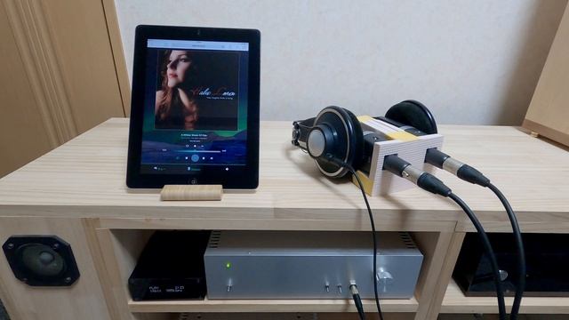 HPA-1000のクリアサウンド「Halie Loren , A Whiter Shade Of Pale」 смотреть онлайн