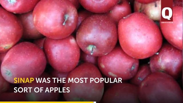 Crimean Fruits Were Sold In London, Kyiv And Moscow