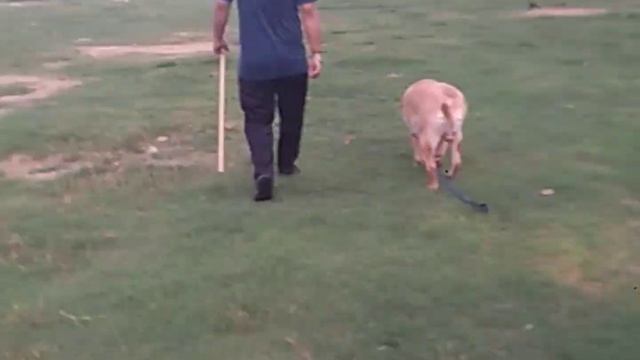 mac gya ghumne | mini vlog of india gate #youtube #india gate #mini vlog смотреть онлайн