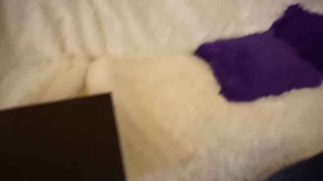 ГДЕ ЖИВЁТ ПОЗЗИ? смотреть онлайн