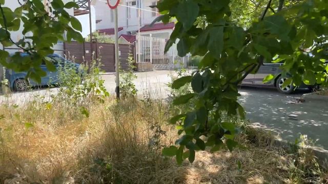 Бомбическая сьемка на айфон 12 в формате 4к/июнь 2023 👍 смотреть онлайн